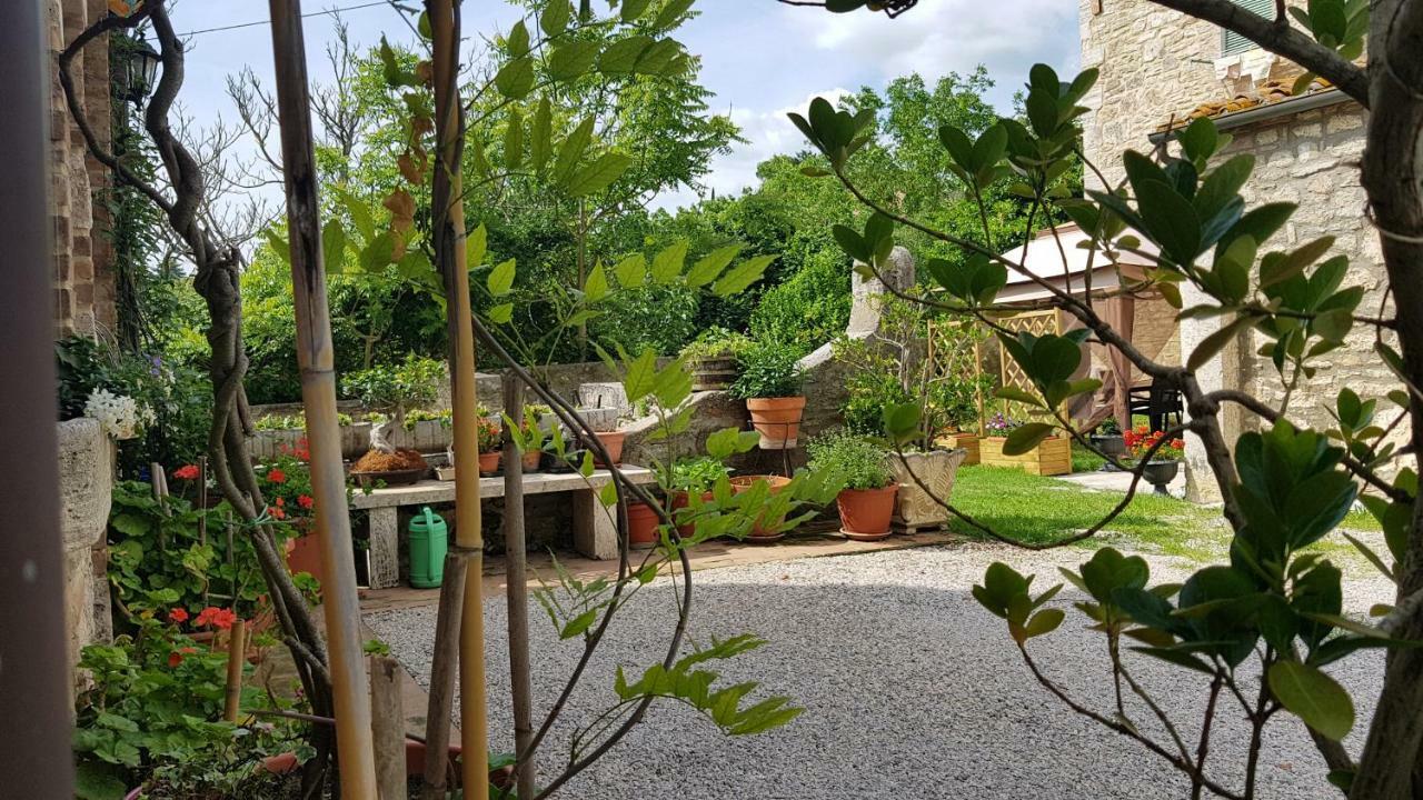 Bed & Breakfast San Paterno Rapolano Terme